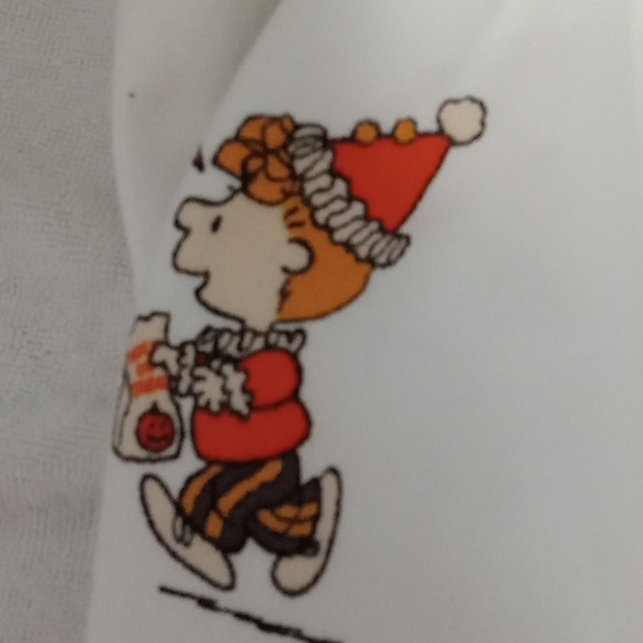 Rae Dunn  Peanuts Towel Halloween - Picture 5 of 6